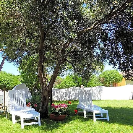 La Tartaruga Bianca Valledoria (Sardinia)