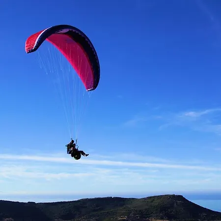 La Tartaruga Bianca 3*